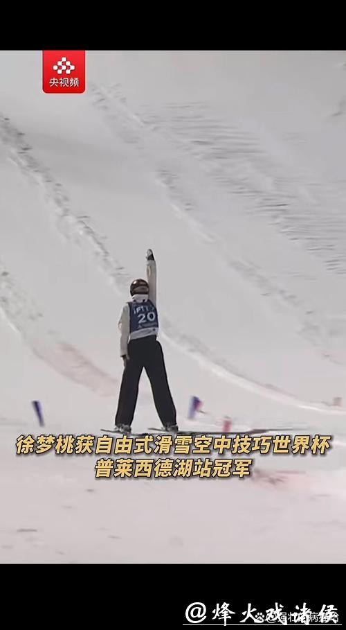 自由式滑雪空中技巧世界杯普莱西德湖站 王心迪夺冠 徐梦桃摘银 自由式滑雪空中技巧世界杯普莱西德湖站 王心迪夺冠 徐梦桃摘银